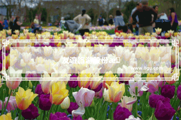 友谊旅游股份有限公司