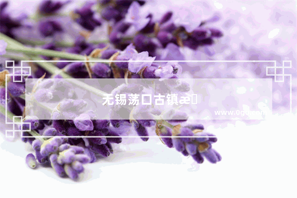 无锡荡口古镇旅游景点