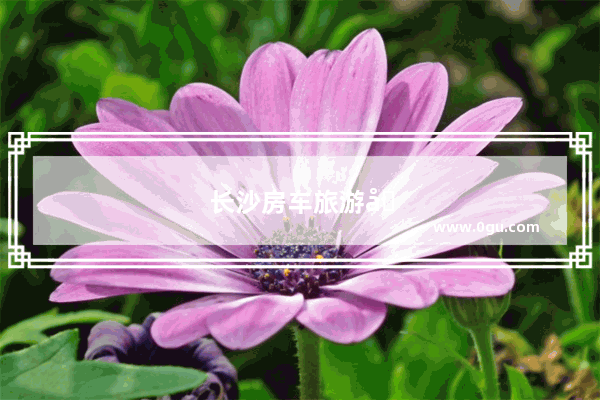 长沙房车旅游公司