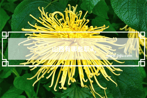 山西有哪些职业学院