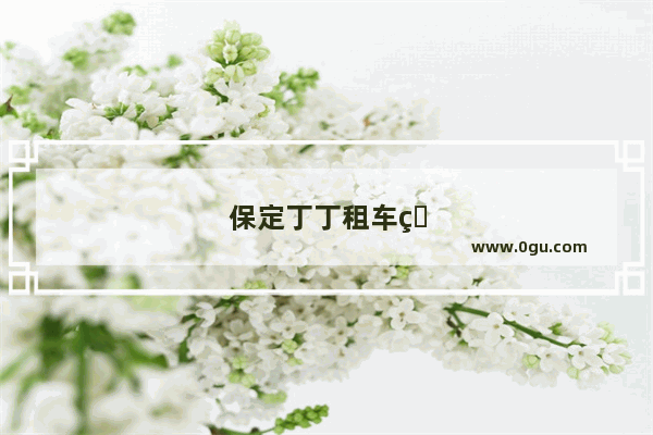 保定丁丁租车电动车费用多少