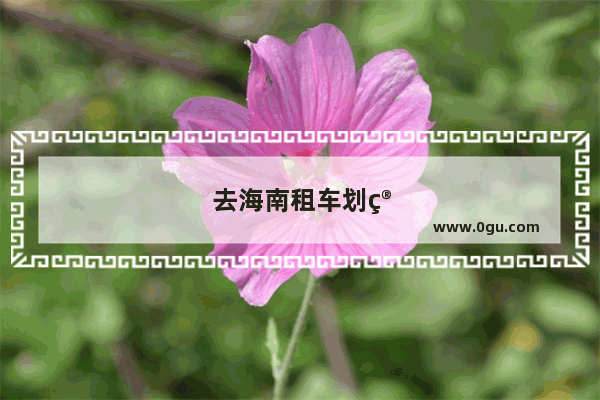 去海南租车划算还是开车划算
