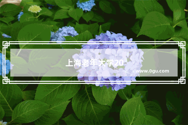 上海老年大学2021年招生简章