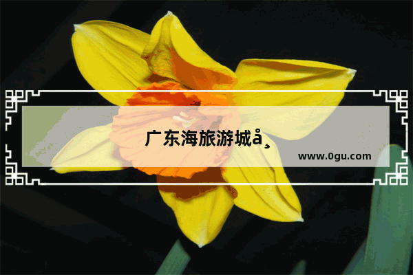 广东海旅游城市