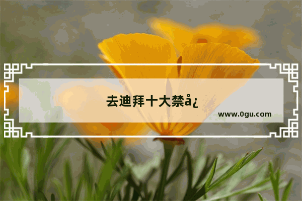 去迪拜十大禁忌