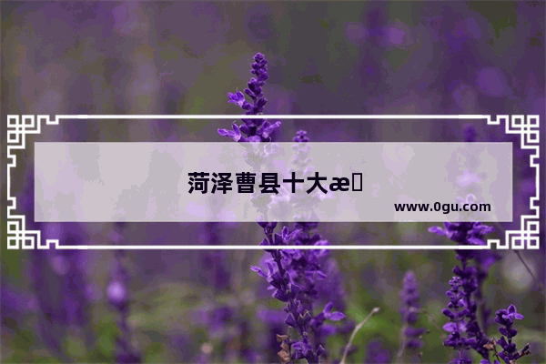 菏泽曹县十大旅游景点