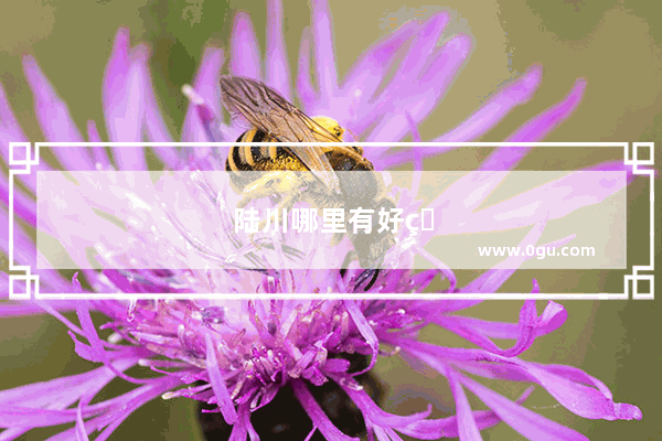 陆川哪里有好玩的景点