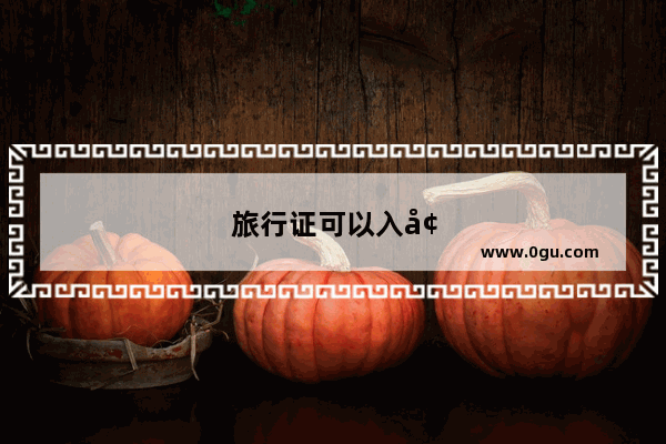 旅行证可以入境吗