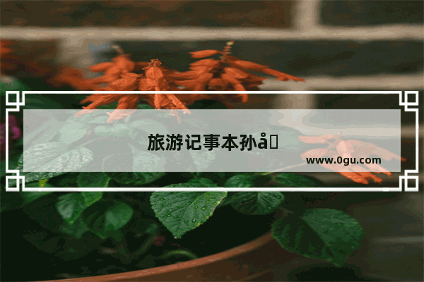 旅游记事本孙哲姜薇