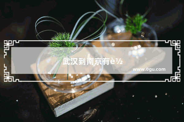武汉到南京有轮渡吗?需要多久行程