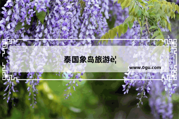 泰国象岛旅游要多少钱