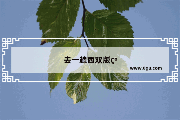 去一趟西双版纳多少钱