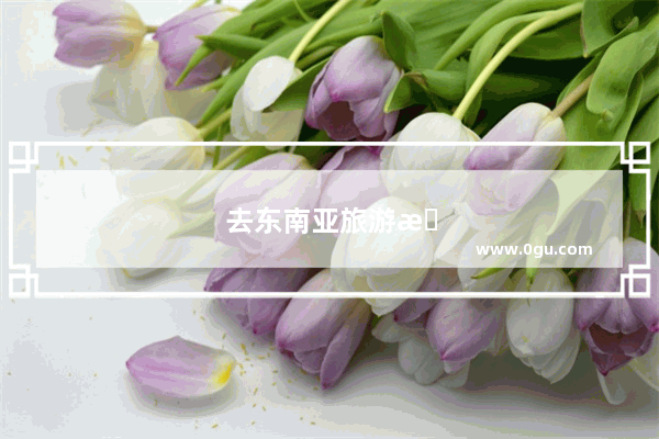 去东南亚旅游怎么划算