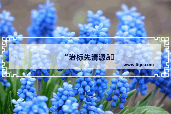 “治标先清源” 这句话有道理吗