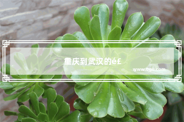 重庆到武汉的飞机要坐好久