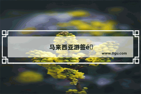 马来西亚游签需要什么材料