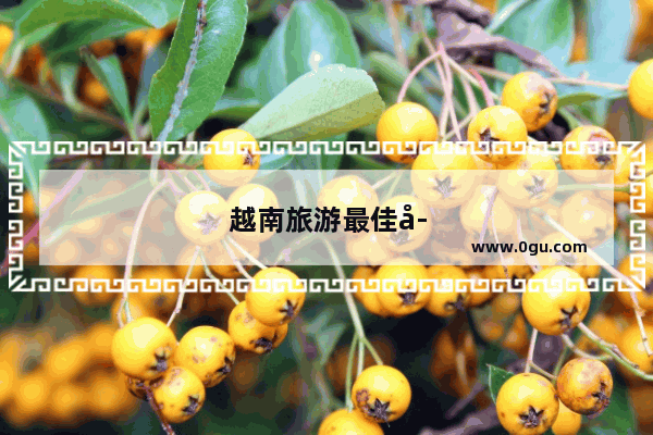 越南旅游最佳季节是几月份