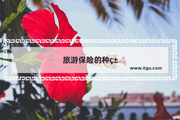 旅游保险的种类