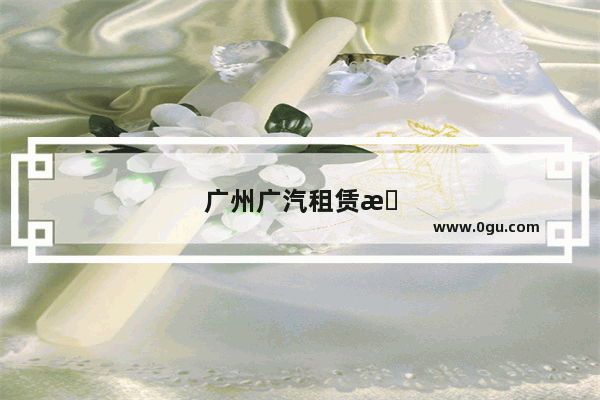 广州广汽租赁有限公司怎么样