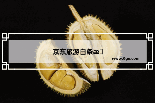 京东旅游白条是啥意思,怎么样能申请?