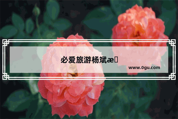必爱旅游杨斌昌