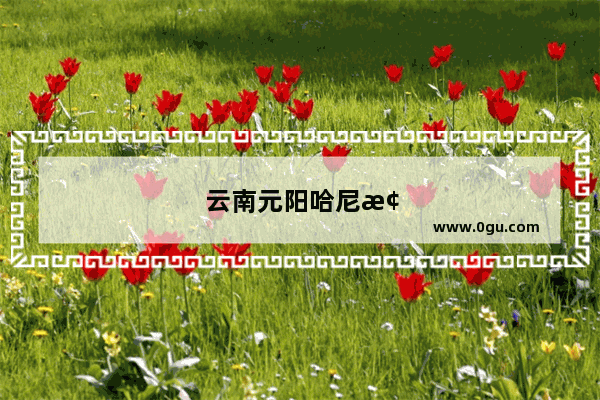 云南元阳哈尼梯田怎么样 有哪些特色呢