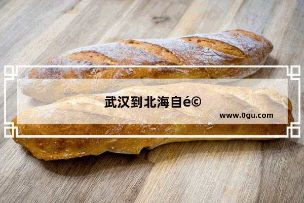 武汉到北海自驾游攻略
