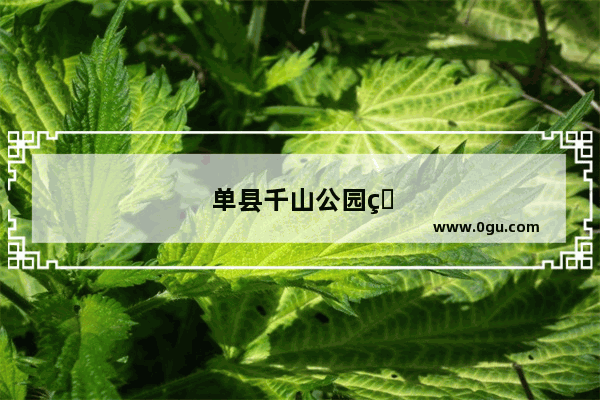 单县千山公园的景点特色有哪些
