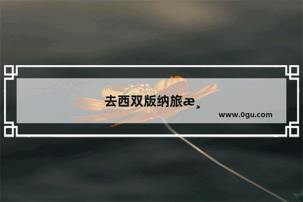 去西双版纳旅游路线图