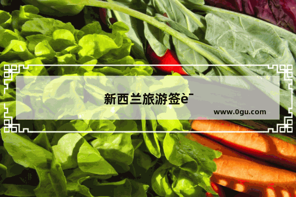 新西兰旅游签证费用多少钱