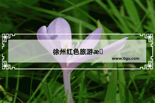 徐州红色旅游景点有哪些地方