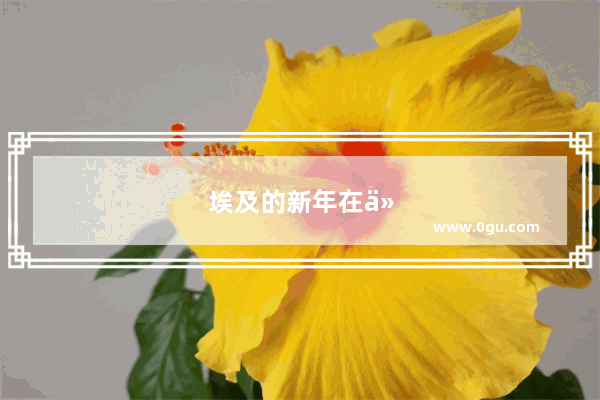 埃及的新年在什么季节