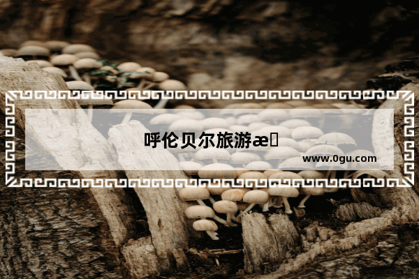 呼伦贝尔旅游景点介绍800字
