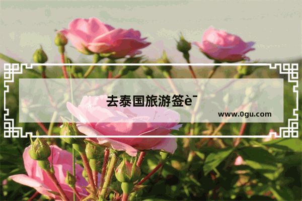 去泰国旅游签证多少钱?