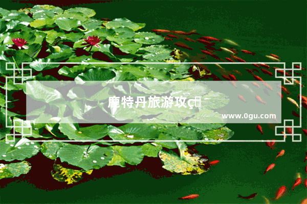 鹿特丹旅游攻略
