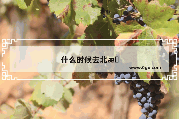 什么时候去北极合适 北极旅游最佳时间