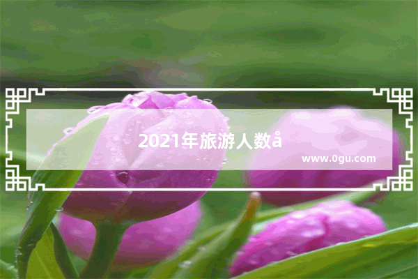 2021年旅游人数全国排名