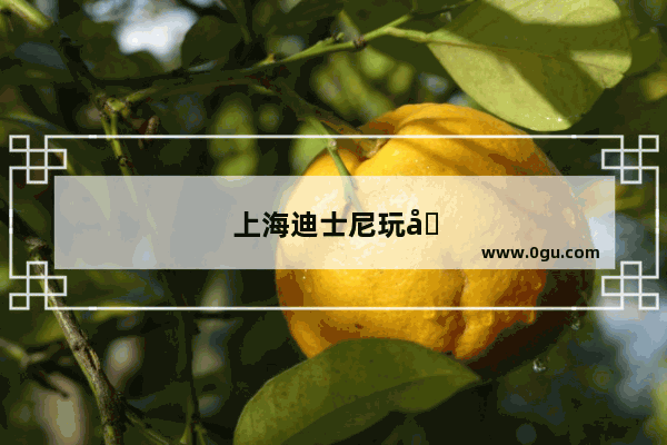 上海迪士尼玩四天开销
