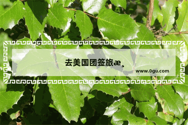 去美国团签旅游到美国以后护照还发给个人吗