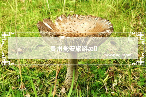 贵州瓮安旅游景点视频介绍