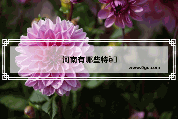河南有哪些特色文化