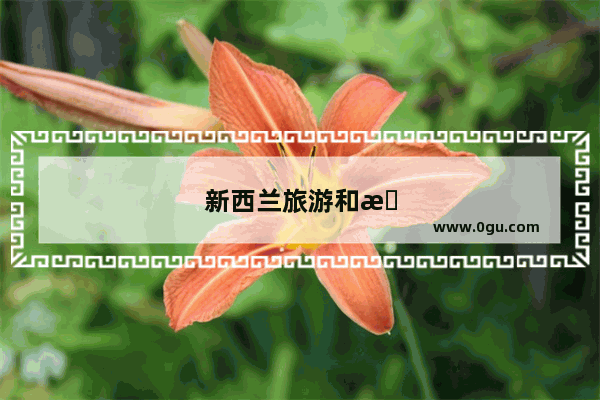 新西兰旅游和探亲的签证的区别是什么