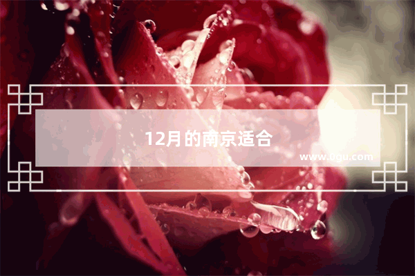 12月的南京适合旅游吗