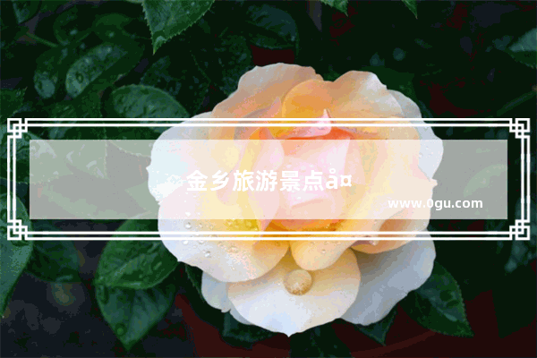金乡旅游景点大全排名