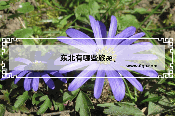 东北有哪些旅游类上市公司