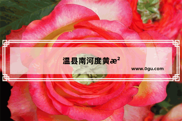 温县南河度黄河大桥是跨黄河吗