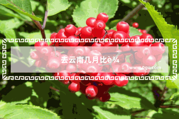 去云南几月比较合适