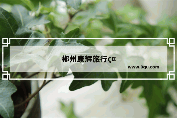 郴州康辉旅行社怎么样