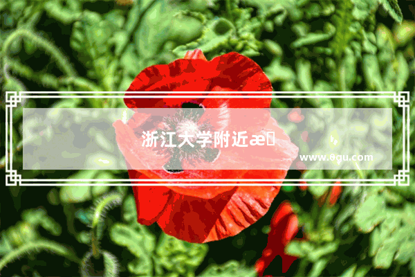 浙江大学附近有什么好玩的景点
