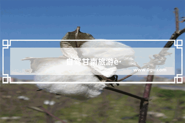 自驾甘南旅游路线攻略